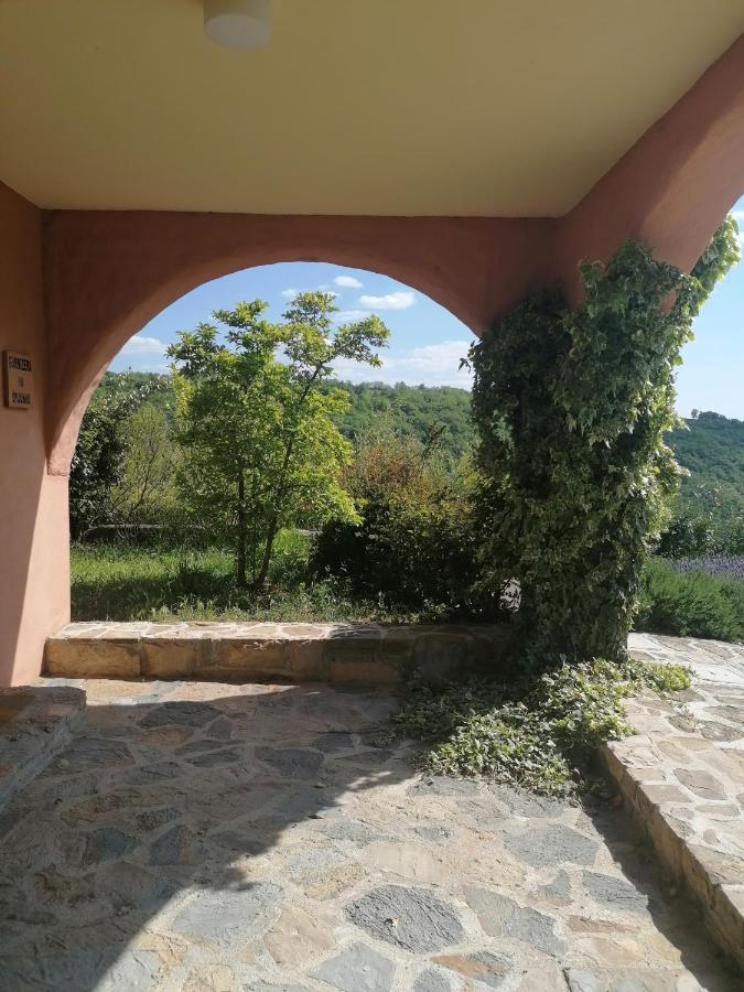Apartma Villa Cedole Chabby Chick Piran Exterior photo